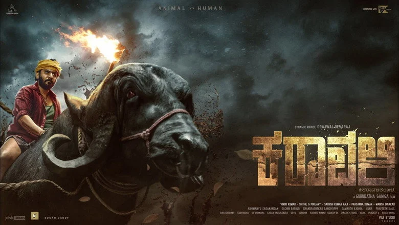 Karavali - The Real Draw: Raj B. Shetty's Dual-Lead Gravitas